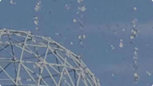[ 培养 ] 关于举办2026年研究