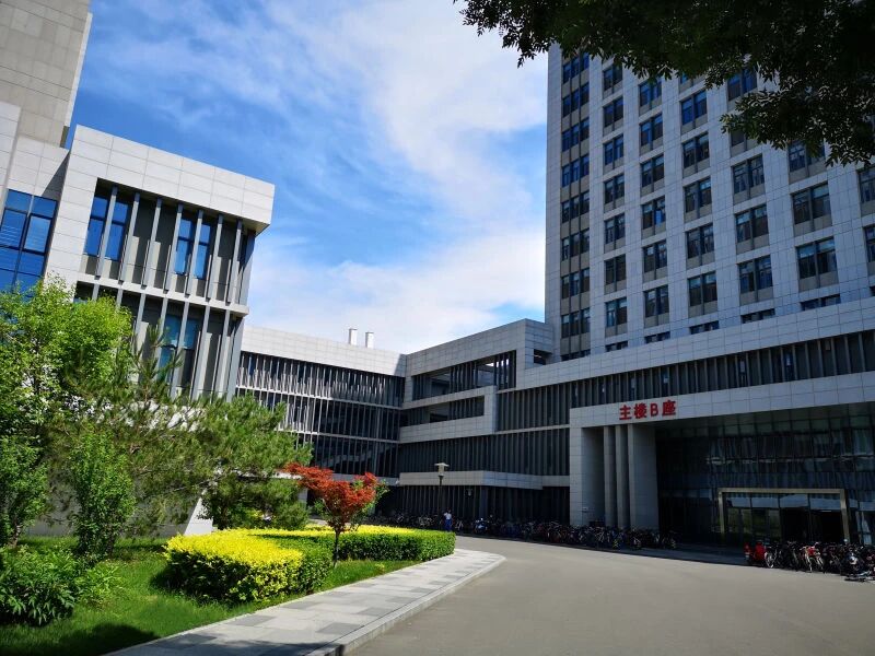 约克大学直升精英班win德赢官网优惠