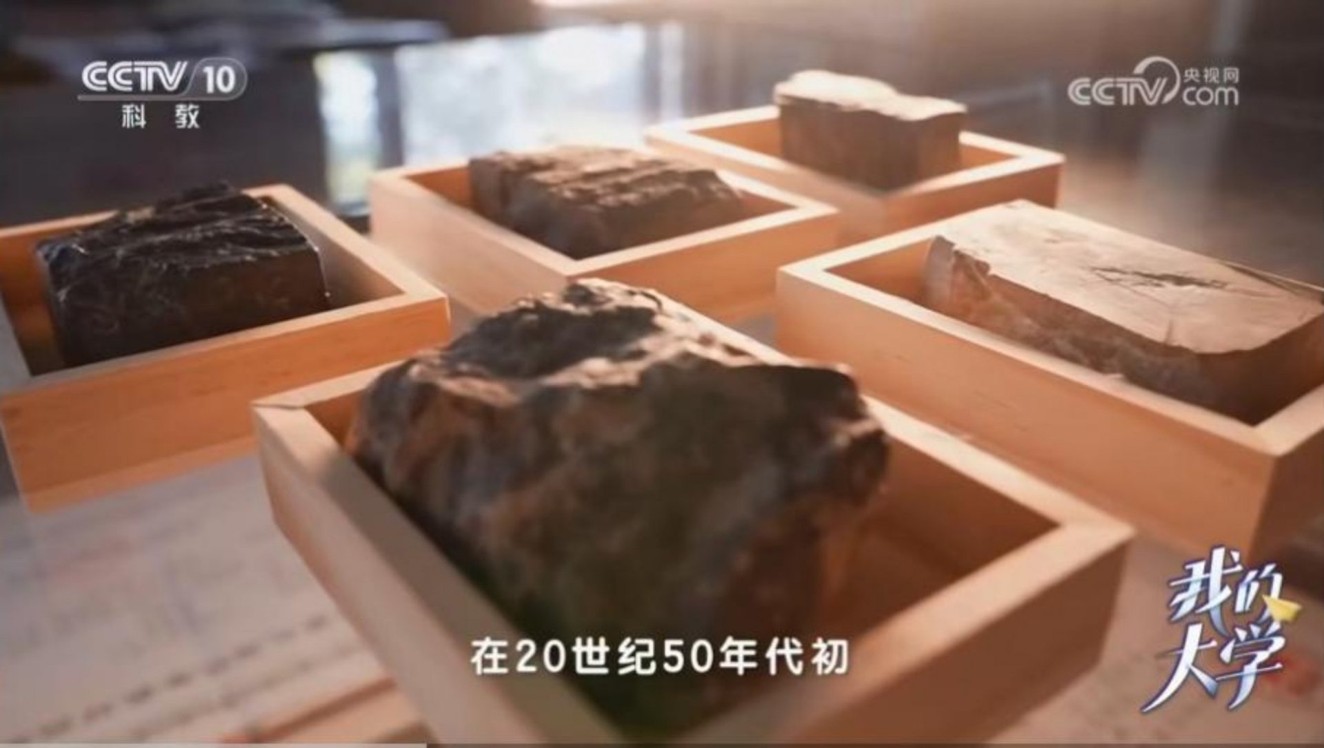 对照阅读其中图书馆“科学家精神特色馆