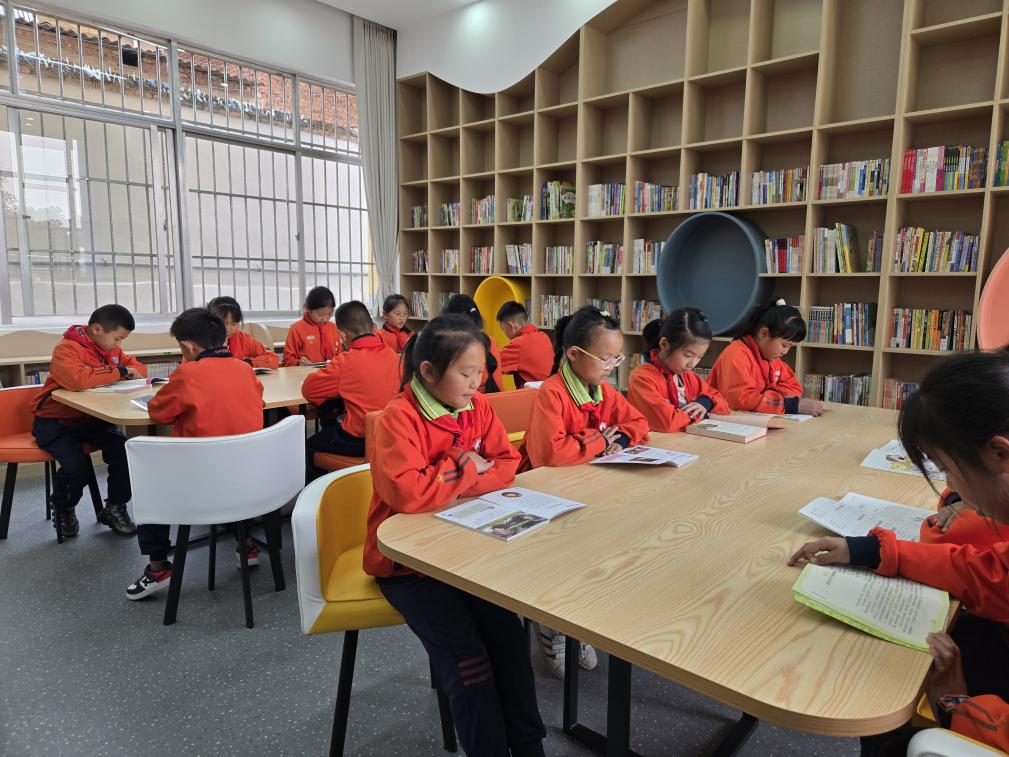 在洒满阳光的书架前从一排排整齐摆放的