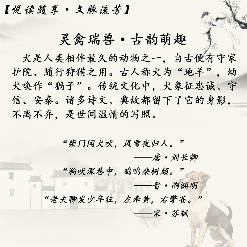 对照阅读