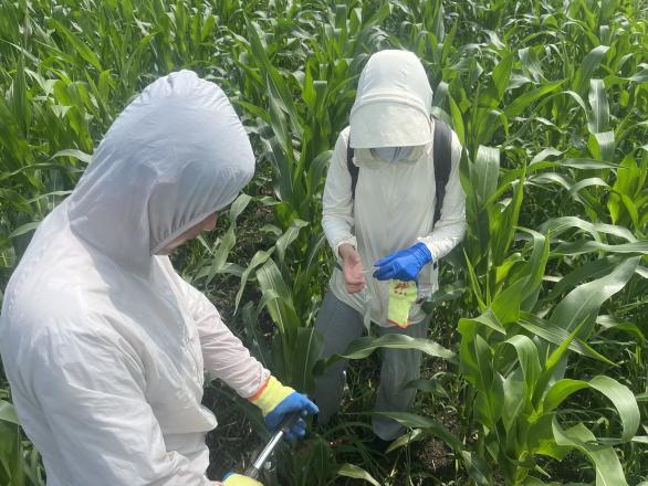 微生物地质学课题组在万云洋教授带领下