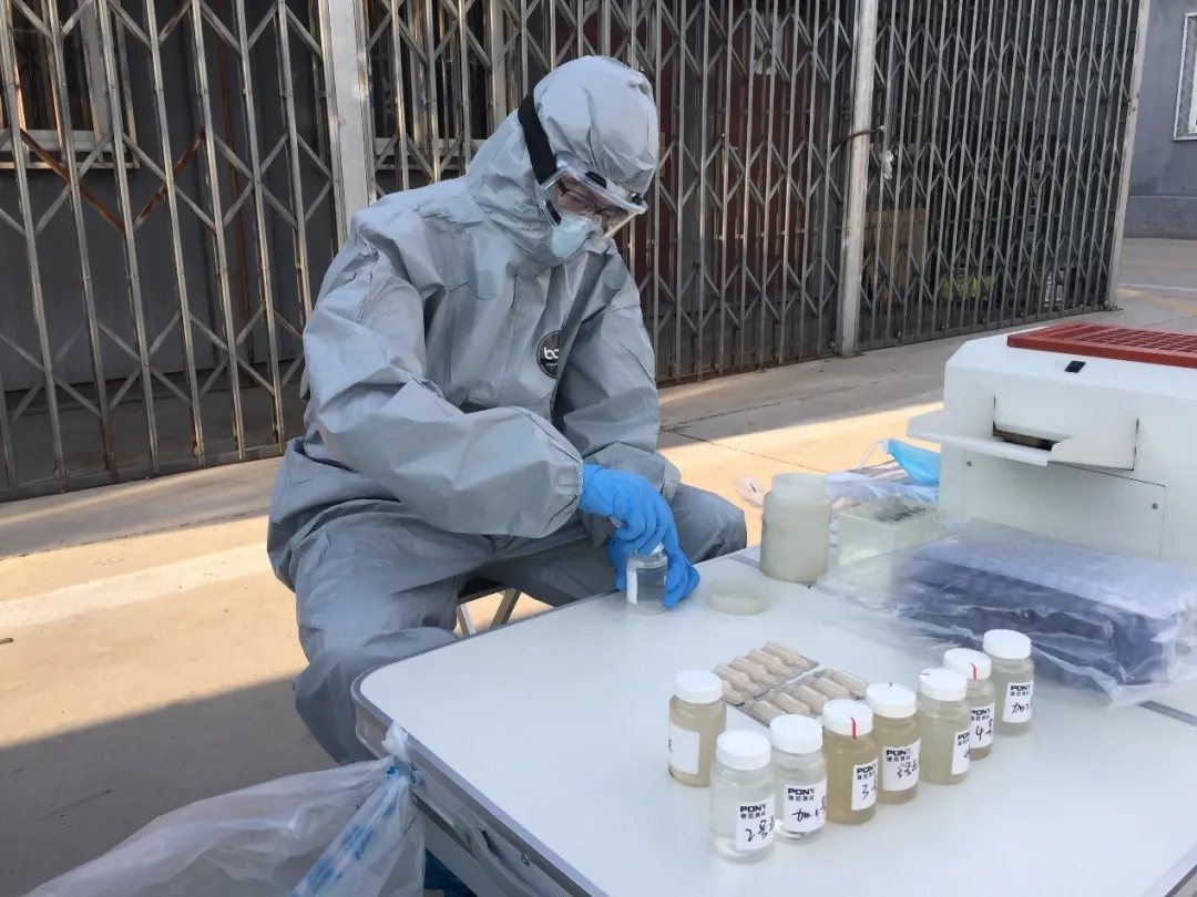 或在生活里努力过活 或在工作中奋力打