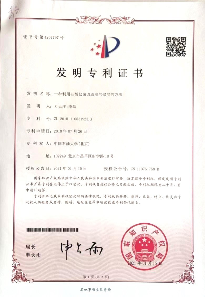 《一种利用硅酸盐菌改造油气储层的方法