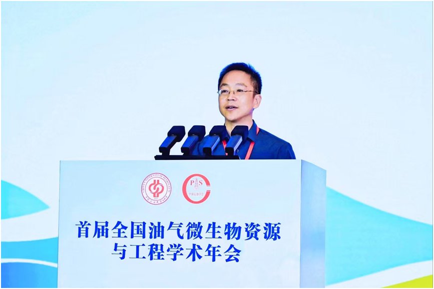 世界石油理事会副主席